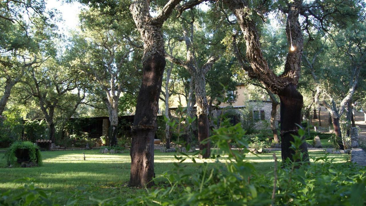 Le Sughere Padru Bagian luar foto